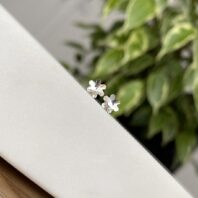 Delikatne kolczyki z kryształami Swarovskiego w kształcie śnieżynek